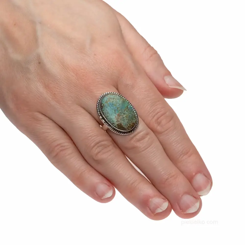 Silver ring, guardian of the elements