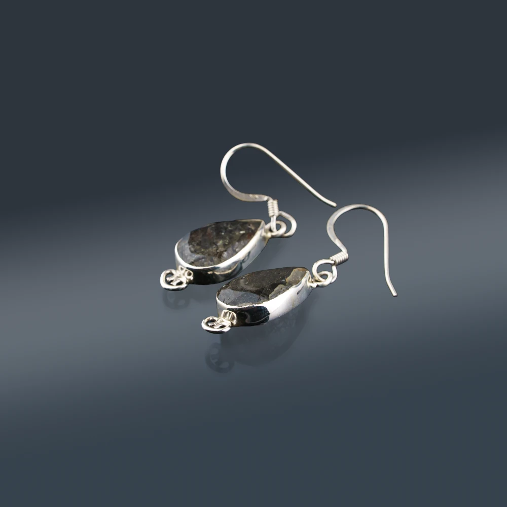 _DSD1131.webp_1